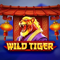 Wild Tiger