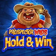 Prospector Wilds Hold And Win